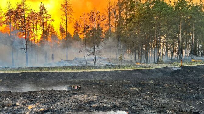 Waldbrand bei Lübtheen
