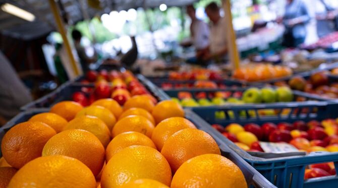 Lebensmittel einkaufen Lebensmittel einkaufen