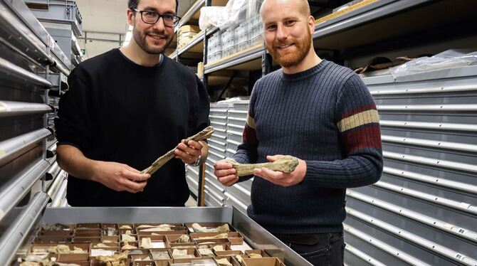 "Urzeit-"Nessies" wegen langer Hälse leichte Beute "Urzeit-"Nessies" wegen langer Hälse leichte Beute