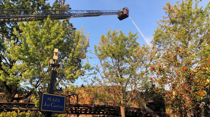 Brand im Europa-Park