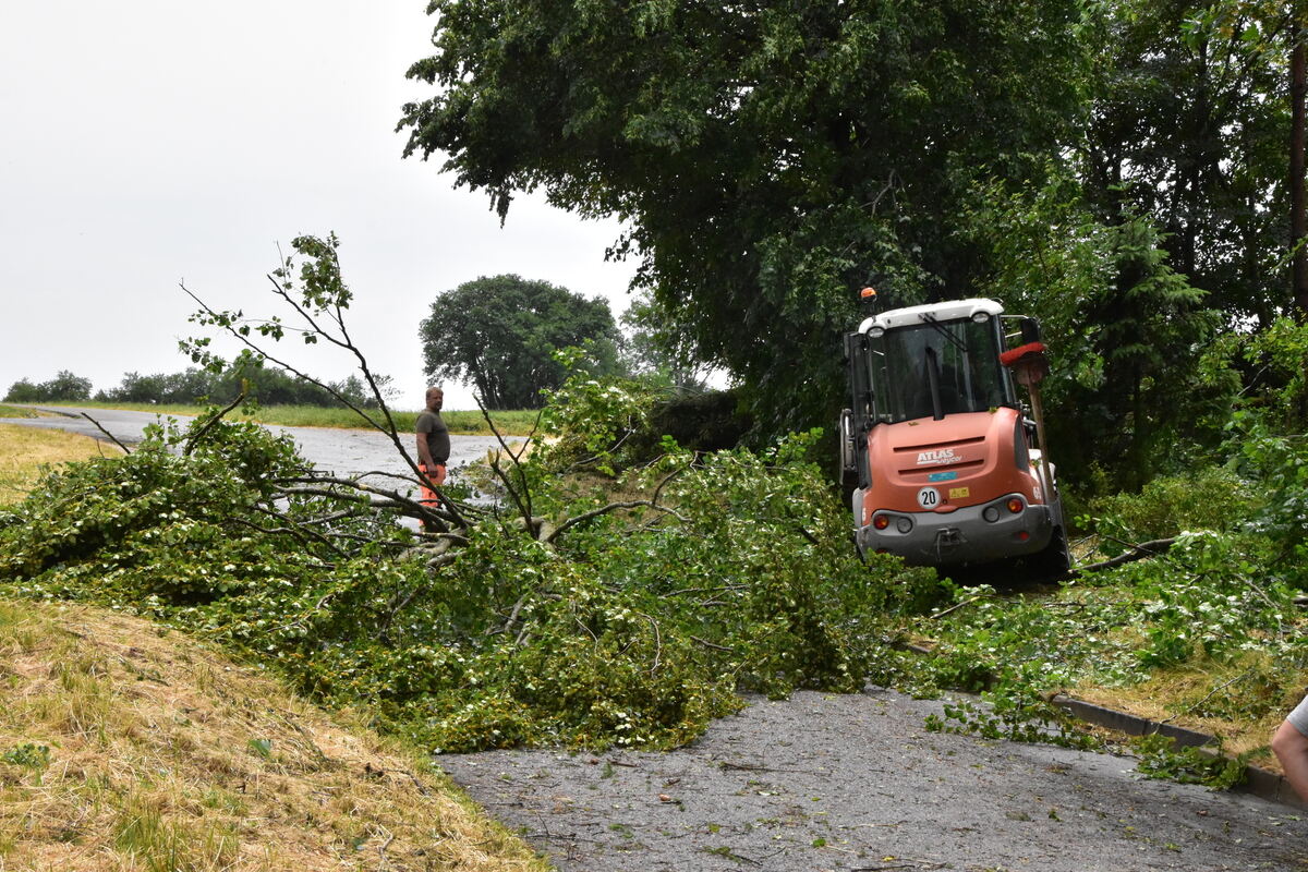 DSC_0032FOTOS JÜRGEN MEER 21 Juni 2023