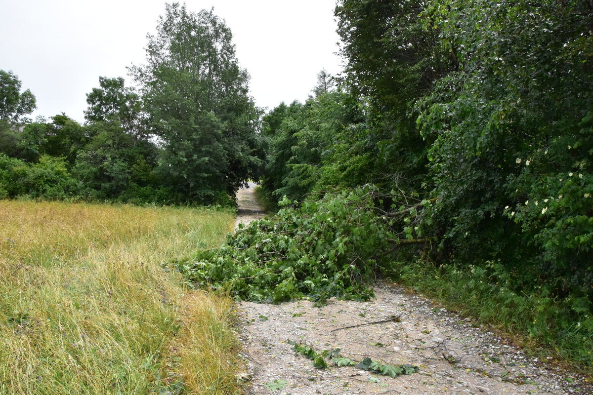 DSC_0033FOTOS JÜRGEN MEER 21 Juni 2023