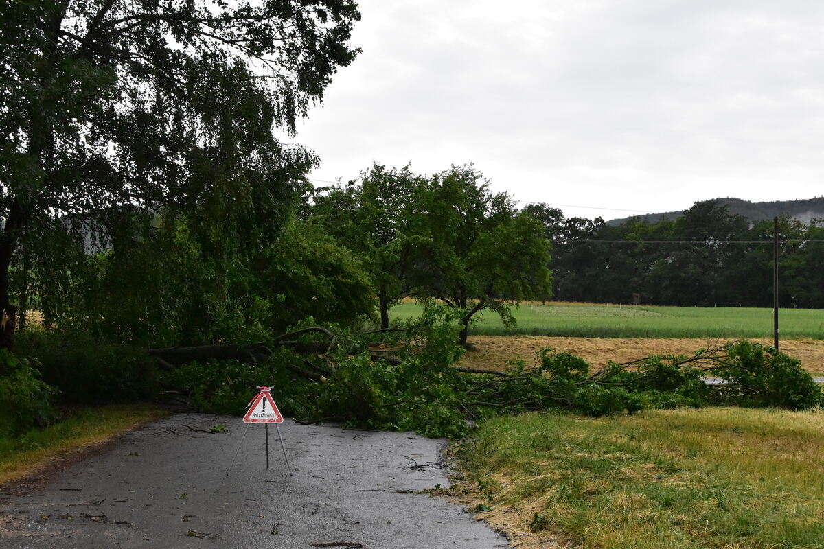 DSC_0002FOTOS JÜRGEN MEER 21 Juni 2023