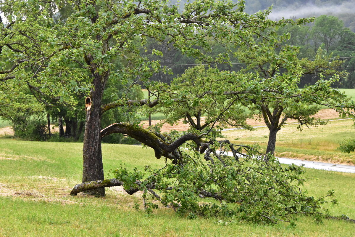 DSC_0004FOTOS JÜRGEN MEER 21 Juni 2023