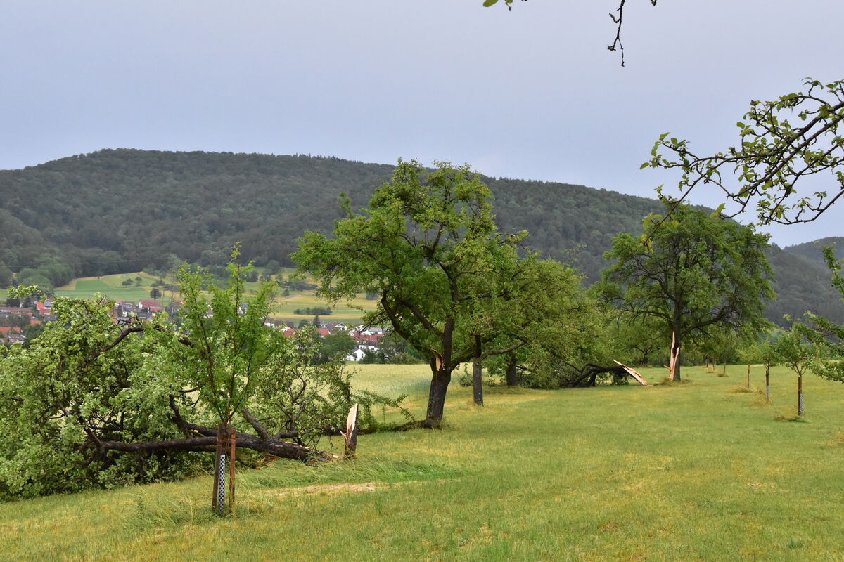 DSC_0005FOTOS JÜRGEN MEER 21 Juni 2023