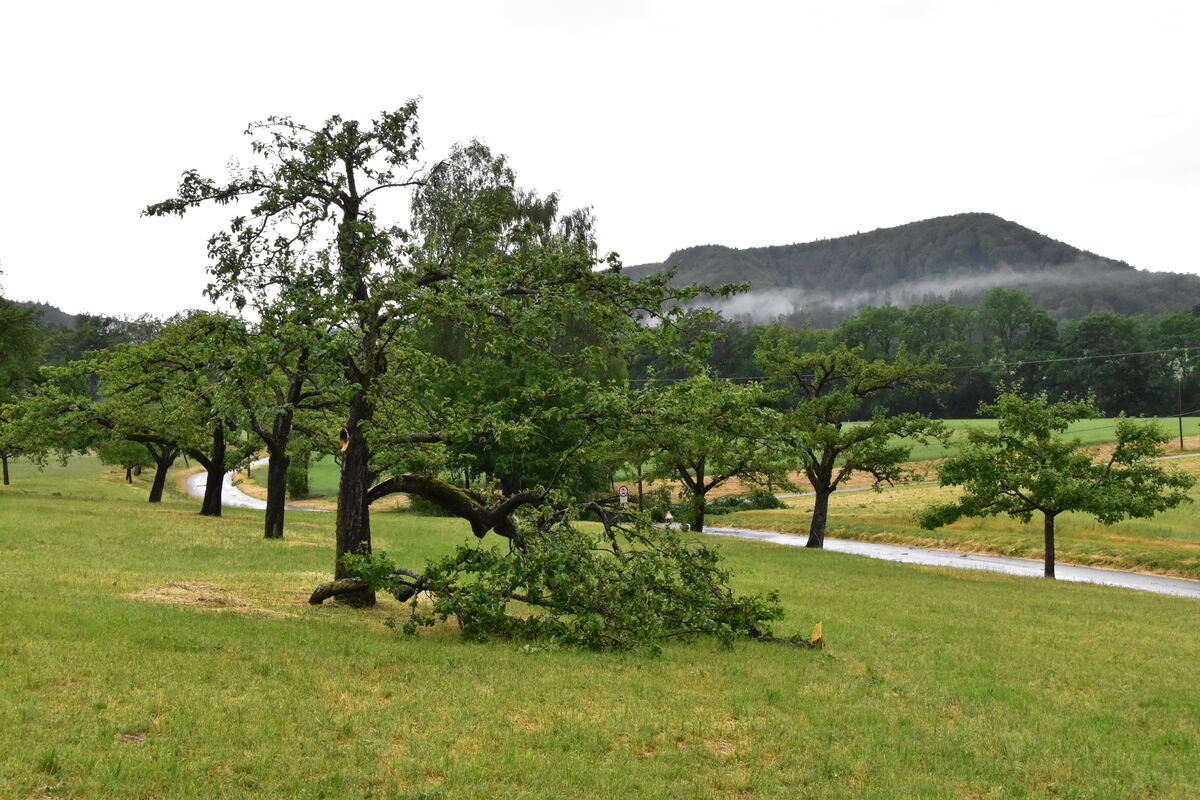 DSC_0006FOTOS JÜRGEN MEER 21 Juni 2023