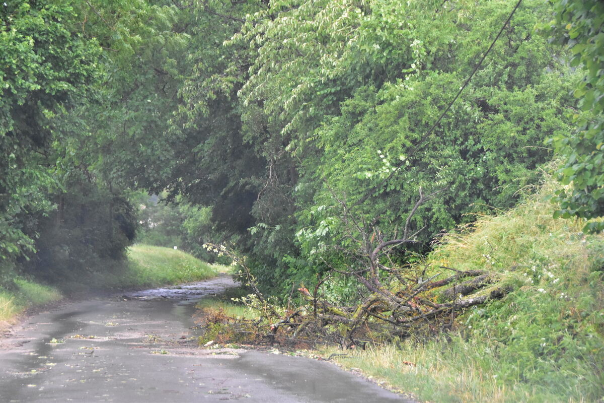 DSC_0007FOTOS JÜRGEN MEER 21 Juni 2023