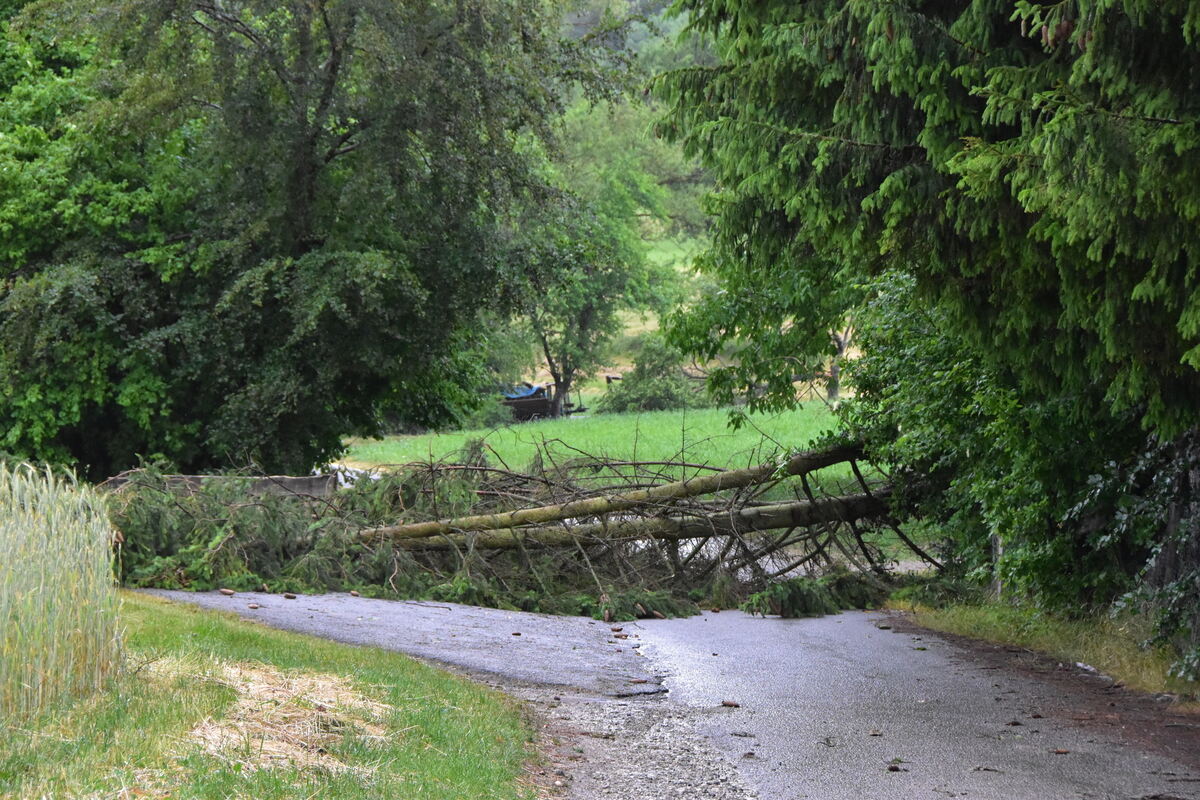 DSC_0008FOTOS JÜRGEN MEER 21 Juni 2023