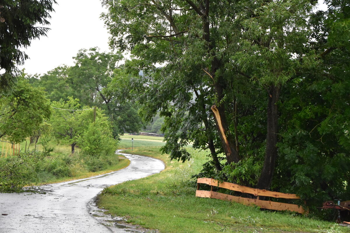DSC_0009FOTOS JÜRGEN MEER 21 Juni 2023