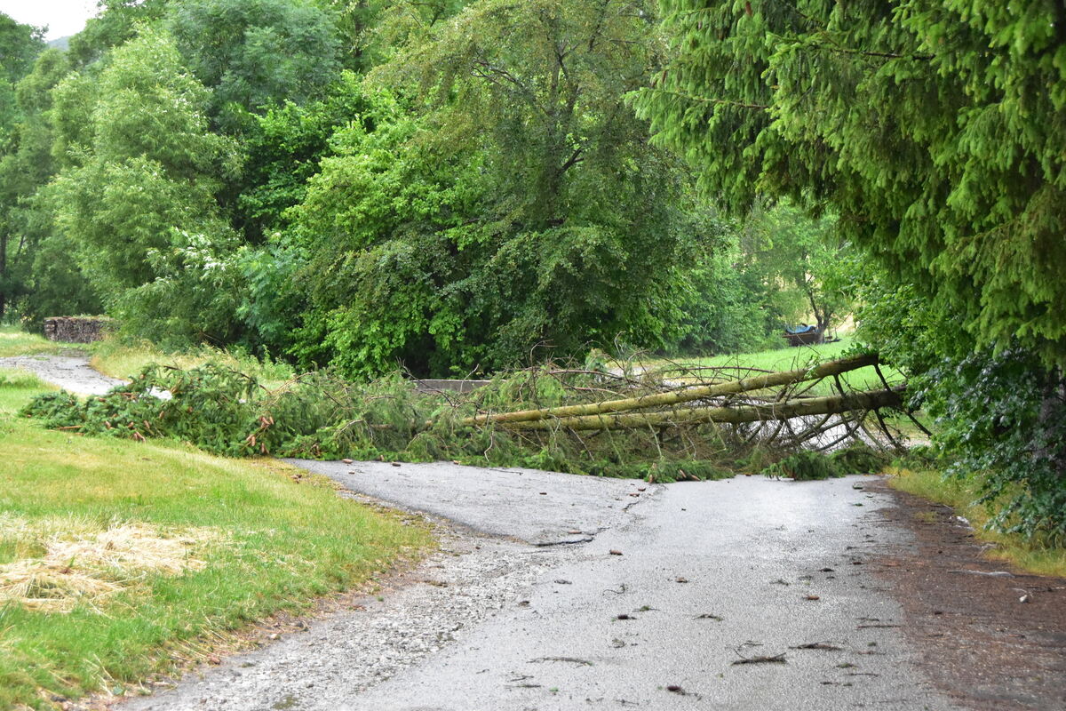 DSC_0010FOTOS JÜRGEN MEER 21 Juni 2023