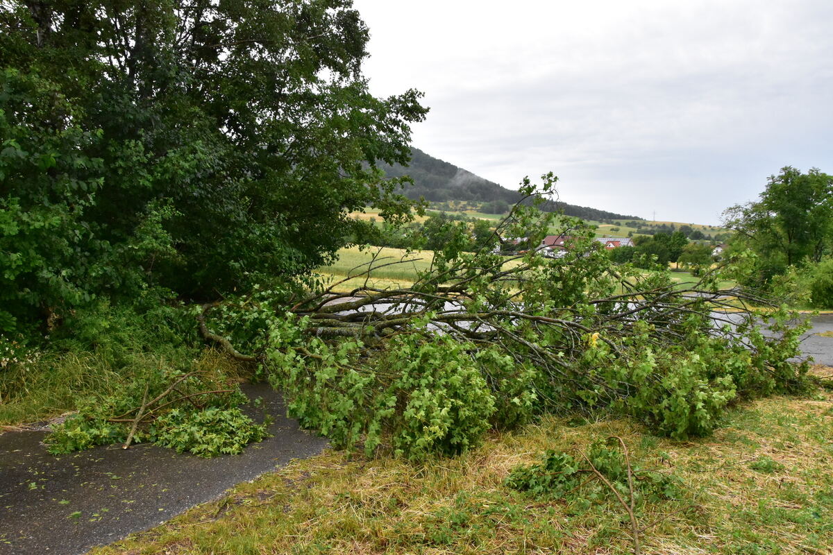 DSC_0014FOTOS JÜRGEN MEER 21 Juni 2023