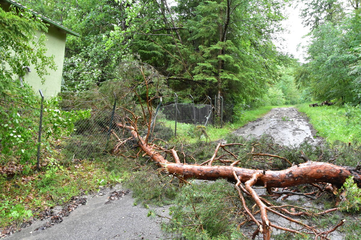 DSC_0015FOTOS JÜRGEN MEER 21 Juni 2023