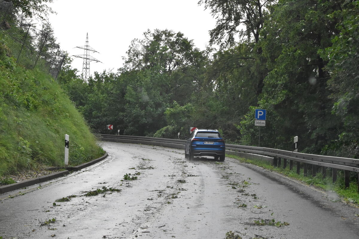 DSC_0018FOTOS JÜRGEN MEER 21 Juni 2023
