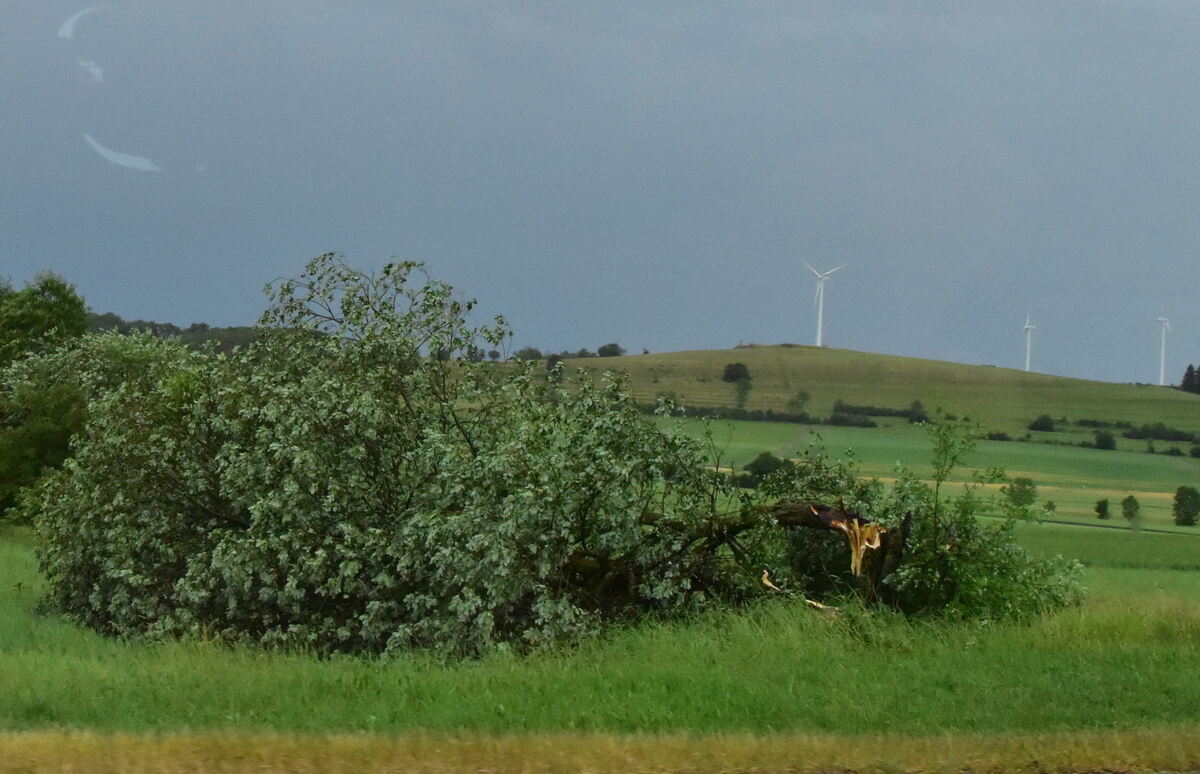 DSC_0019FOTOS JÜRGEN MEER 21 Juni 2023