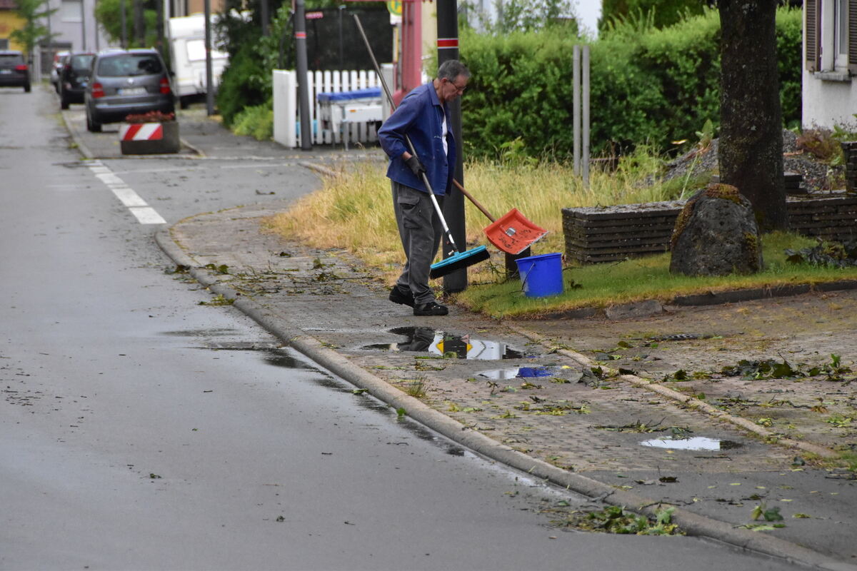 DSC_0023FOTOS JÜRGEN MEER 21 Juni 2023