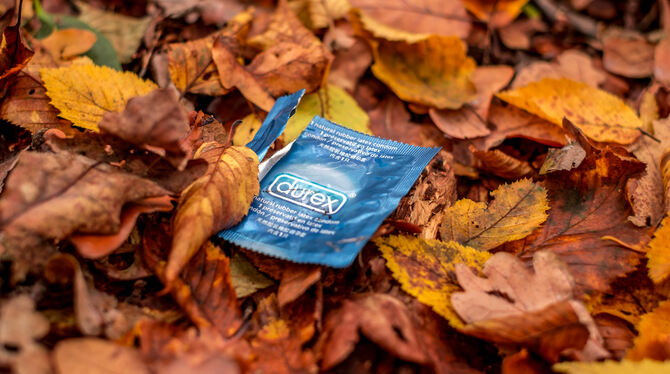 Für den Forst ist der Outdoor-Sex im Schönbuch ein Ärgernis – auch wegen der unschönen Hinterlassenschaften. FOTO: SORIN/ADOBE Für den Forst ist der Outdoor-Sex im Schönbuch ein Ärgernis – auch wegen der unschönen Hinterlassenschaften. FOTO: SORIN/ADOBE