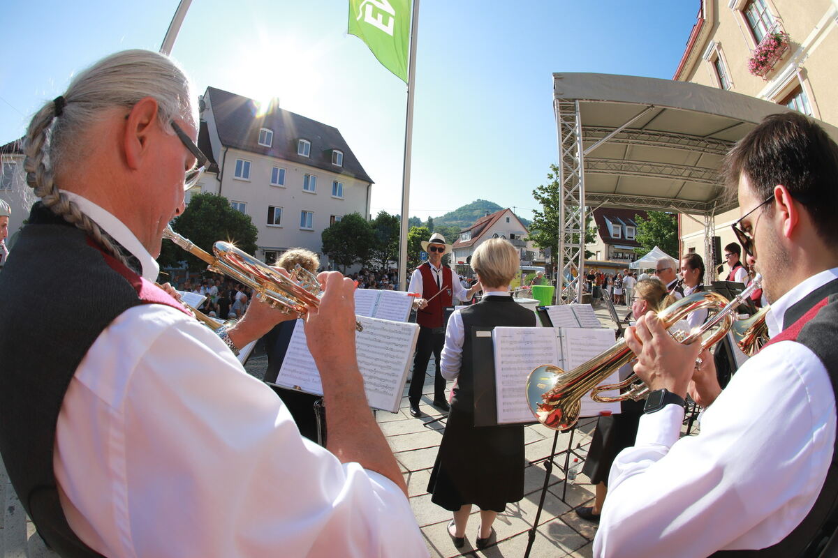 BM-Wahl_Eni_Online__07