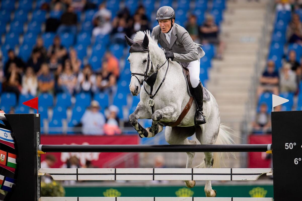 Auf dem Rücken der Pferde