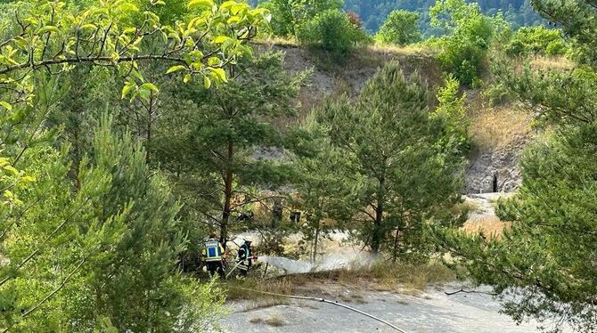 Die Feuerwehr konnte bei Rottenburg verhindern, dass aus dem Flächenbrand ein größerer Waldbrand wurde.