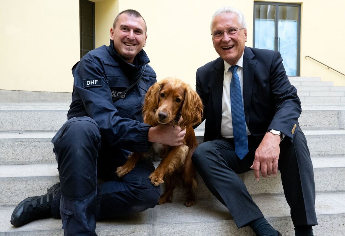 Tierische Unterstützung Tierische Unterstützung