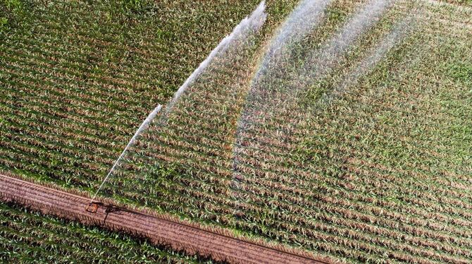 Ackerflächen Ackerflächen