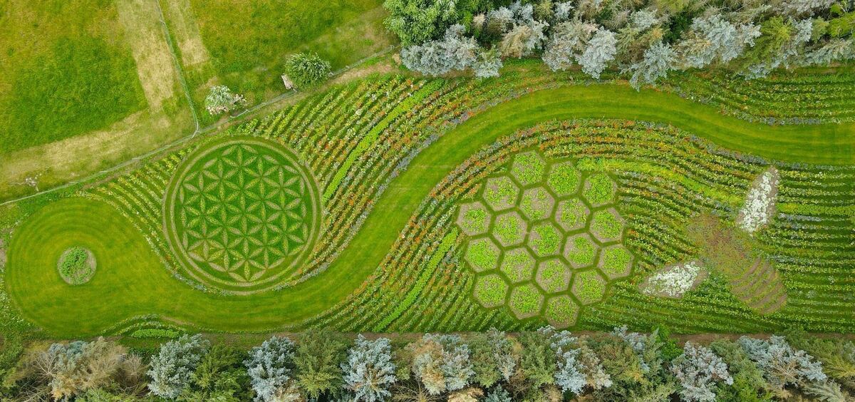 Insekten-Spielwiese Insekten-Spielwiese