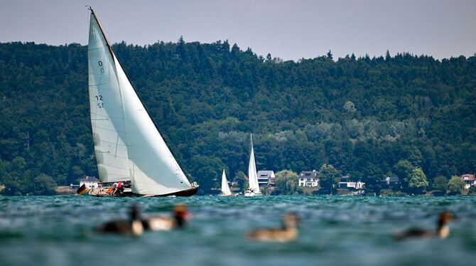 Segelboot auf Bodensee