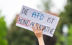 AfD-Protest