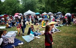 Über 800 Menschen haben bei »Music for Humanity« im Reutlinger Stadtgarten ihren Spaß gehabt sowie reichlich gespendet.  FOTOS: 