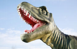 Der T-Rex war wohl der gefürchtetste der Saurier – heute bei Kindern sehr beliebt