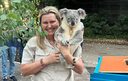 Die australische Tierpflegerin und Koala-Expertin Michelle Barnes war bei der Ankunft ihrer Schützlinge in Stuttgart dabei.