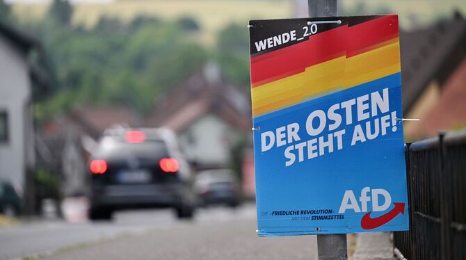AfD