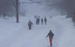 Tiefer Winter in Storrs, Connecticut. In Neuengland fielen bis zu 90 Zentimeter Schnee. Foto: G. Morty Ortega