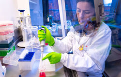 Hohe Sicherheitsvorkehrungen: Eine Wissenschaftlerin bereitet eine molekularbiologische Untersuchung vor.  FOTO: BÜTTNER/DPA
