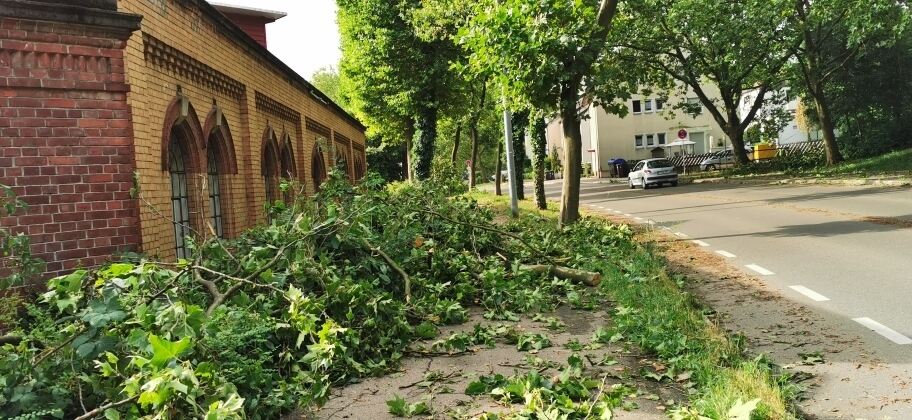 IMG_20230712_085442_resized_20230712_092142893