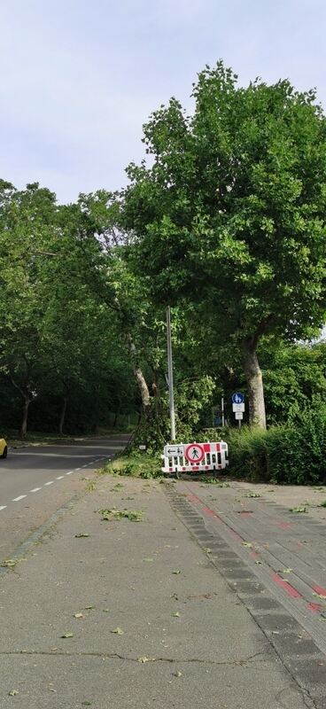 IMG_20230712_085355_resized_20230712_092143330