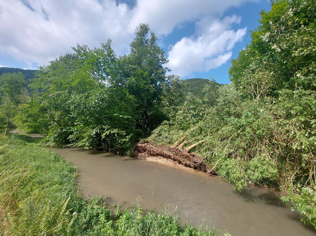 In Bad Urach hat der Sturm zwischen der Georgiisiedlung und dem Ortskern ein paar Bäume am Rande der Erms umgedrückt.