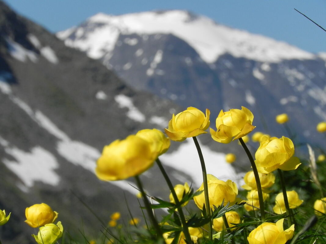 GEA-DAV_Gasteinertal_Marc Röder_2023 (3)