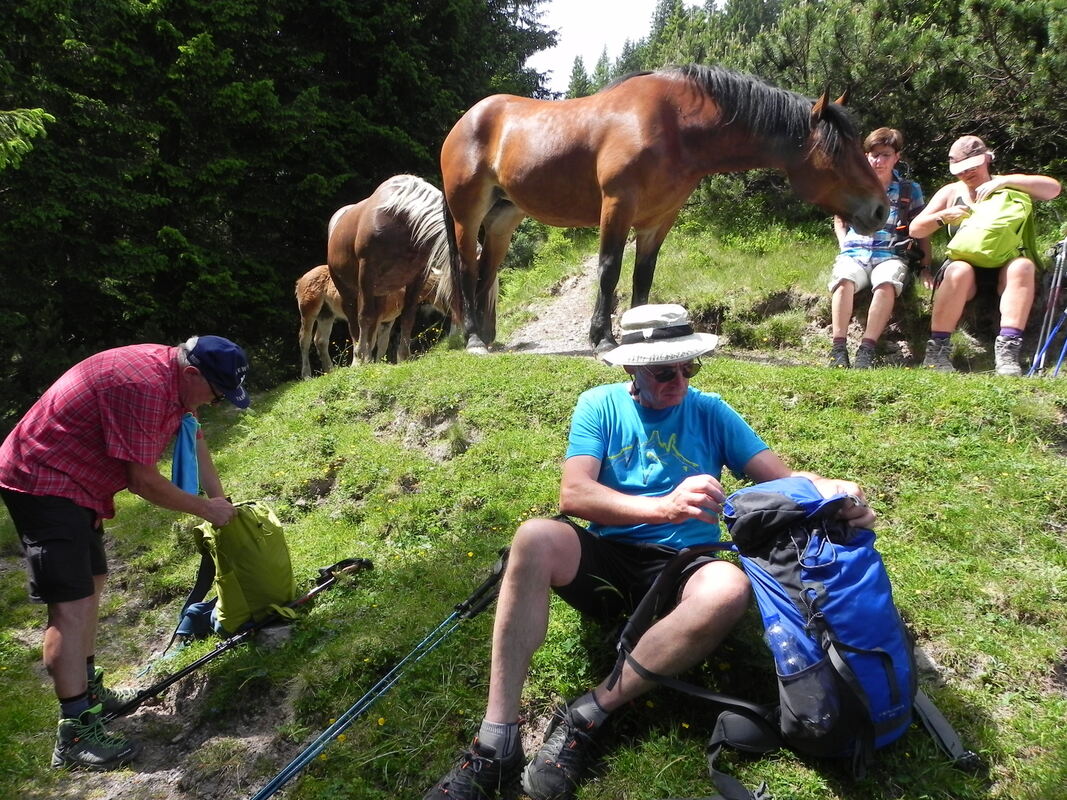 GEA-DAV_Gasteinertal_Marc Röder_2023 (7)