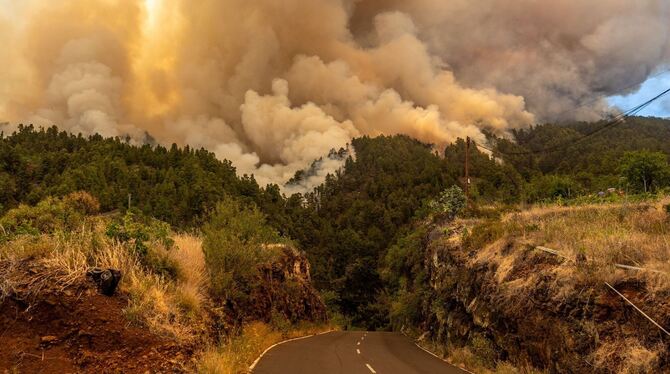 Waldbrand auf La Palma