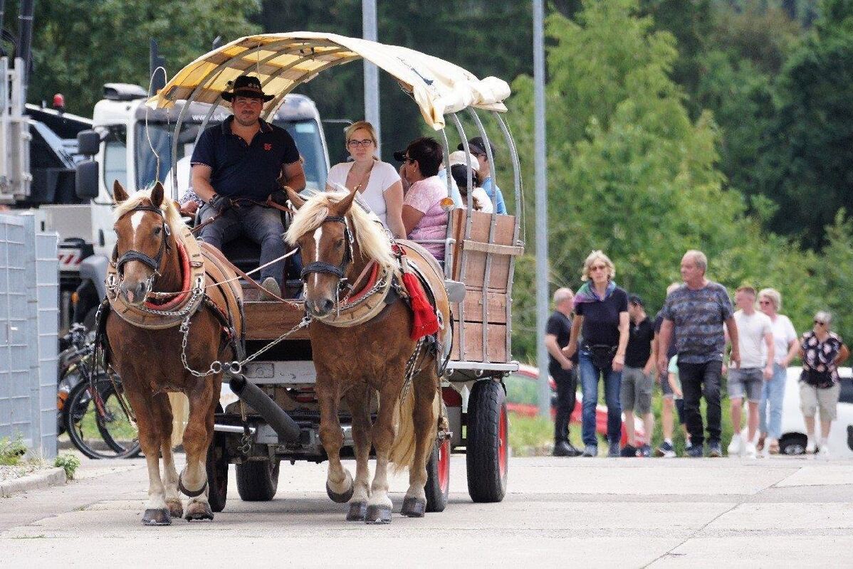 07_23_Aktionstag_Haid_31