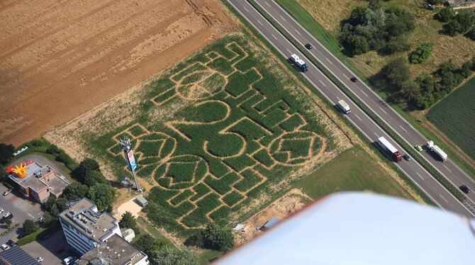 25 Jahre Maislabyrinth: Saison zum Verirren startet