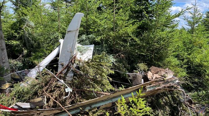 Kleinflugzeug stürzt im Schwarzwald-Baar-Kreis ab - Pilot stirbt