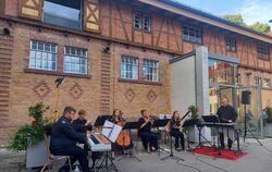 Die »Gantze Hingerey« überzeugte in Marbach mit einem Programm aus  Folklore, Pop und Evergreens. FOTO: KADEN
