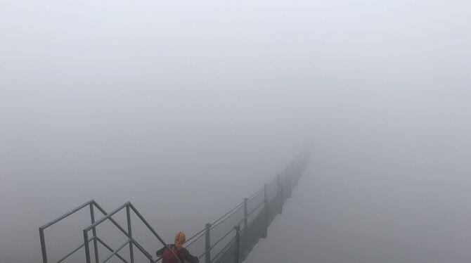 Führt nicht ins Nichts: Die Piccard-Brücke überspannt das Gurgler Tal. FOTO: DZ
