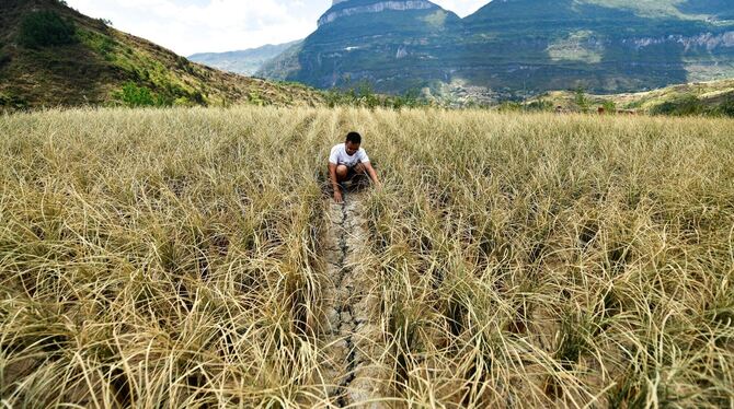 Dürre und Trockenheit in China