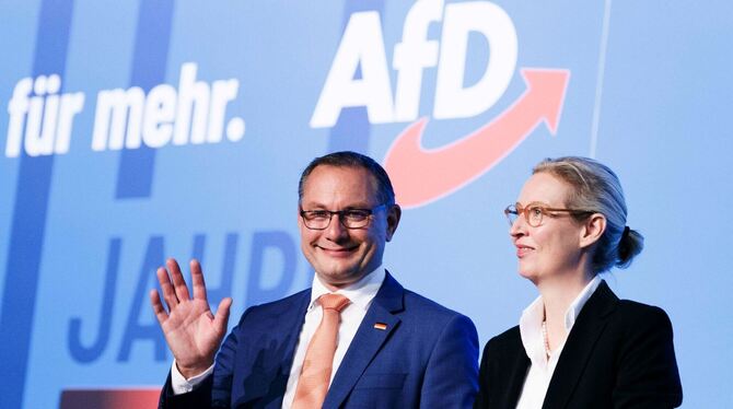 AfD-Bundesparteitag