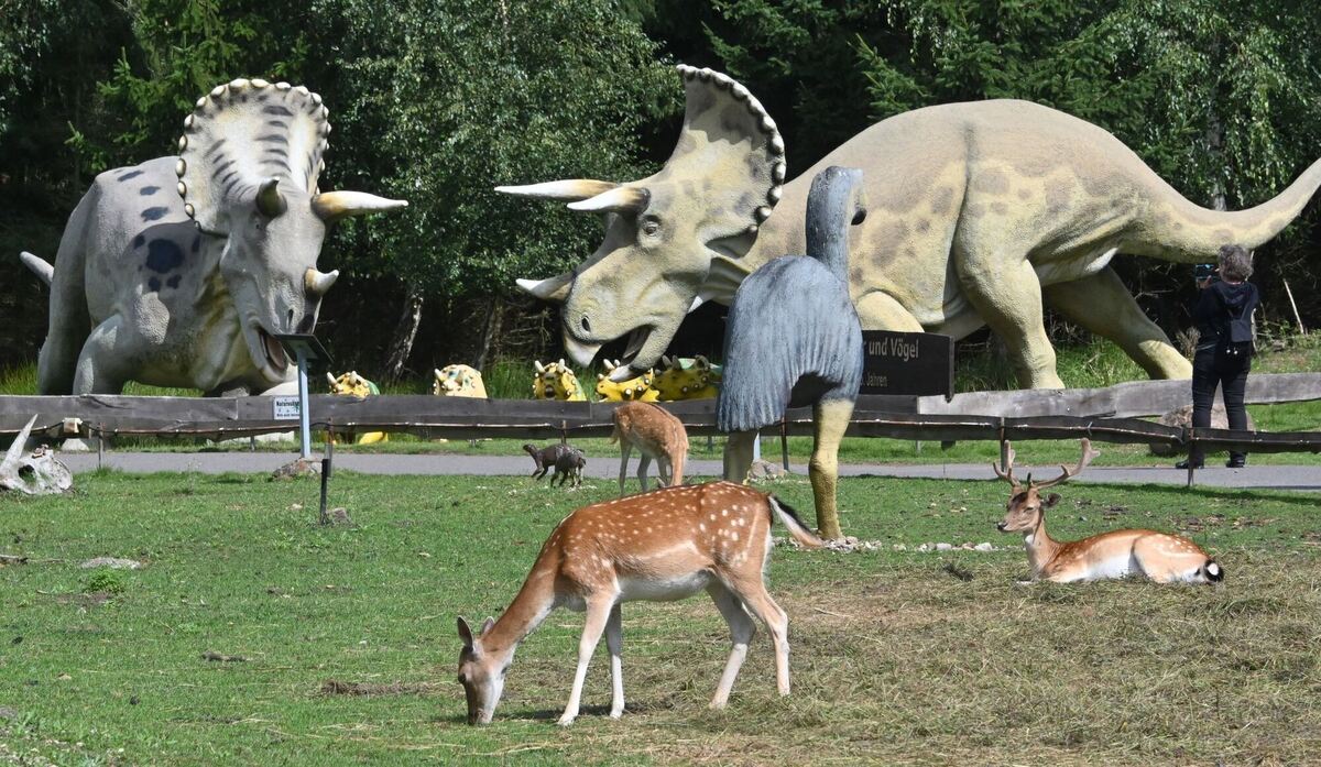 Friedliches Miteinander Friedliches Miteinander