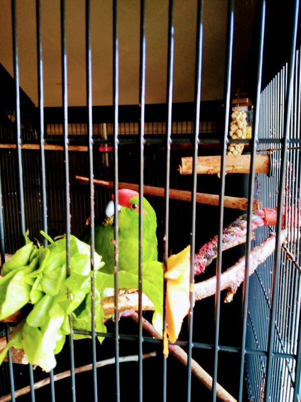 44 Robins lieblings Speise