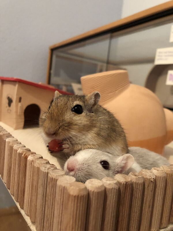 8 Be kind to be very kind